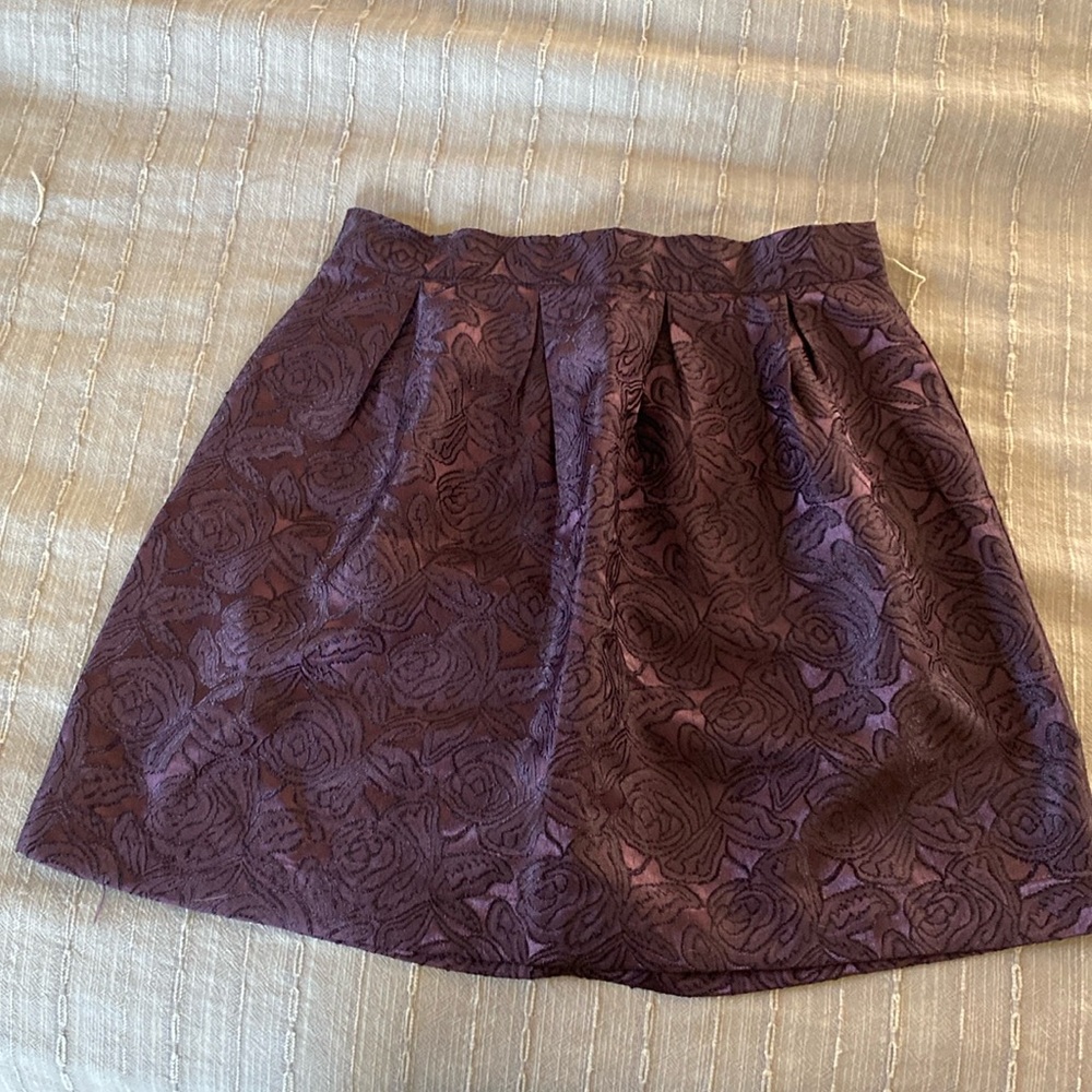 Embroidered Mini Skirt